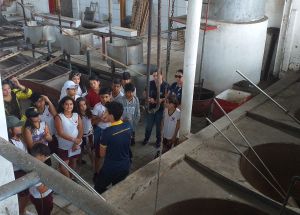 AULA DE CAMPO: CEARÁ MIRIM - 5º ANOS