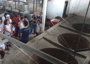 AULA DE CAMPO: CEARÁ MIRIM - 5º ANOS