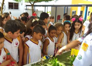 Grupo de Escoteiros do Ar Parnamirim