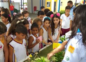 Grupo de Escoteiros do Ar Parnamirim