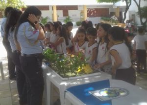 Grupo de Escoteiros do Ar Parnamirim