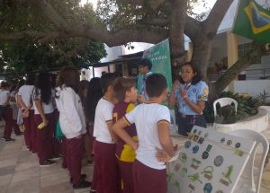 Grupo de Escoteiros do Ar Parnamirim