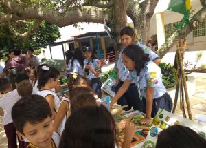 Grupo de Escoteiros do Ar Parnamirim