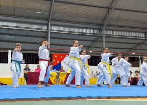 JOGOS INTERNOS FÊNIX