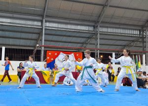 JOGOS INTERNOS FÊNIX