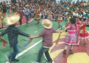 ARRAIÁ DO COLÉGIO FÊNIX