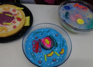 8º Ano B - Apresentação de Trabalho