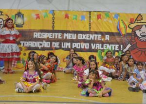 Arraiá do Fênix
