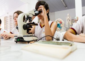 O COLÉGIO FÊNIX É REFERÊNCIA DE ENSINO E APROVAÇÃO 