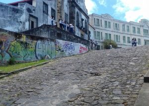 AULA DE CAMPO - RECIFE