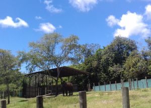 AULA DE CAMPO - JOÃO PESSOA