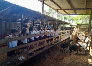 AULA DE CAMPO COMPLEXO CAPIBA - 1º ANOS