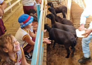AULA DE CAMPO COMPLEXO CAPIBA - 1º ANOS