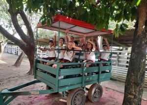 AULA DE CAMPO COMPLEXO CAPIBA - 1º ANOS