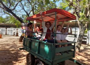 AULA DE CAMPO COMPLEXO CAPIBA - 1º ANOS