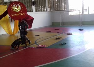 APRESENTAÇÃO DA POLICIA MILITAR