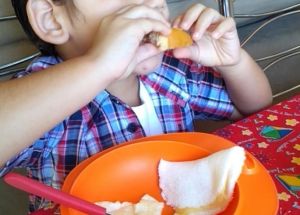 Arraiá Virtuá da Educação Infantil