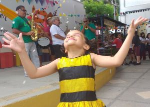 FÊNIX FOLIA