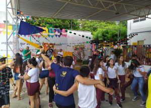 FÊNIX FOLIA