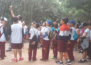 AULA DE CAMPO PARA O SANTUÁRIO PIPA (4º anos )