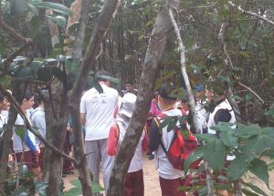 AULA DE CAMPO PARA O SANTUÁRIO PIPA (4º anos )