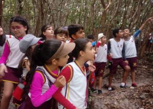 AULA DE CAMPO PARA O SANTUÁRIO PIPA (4º anos )