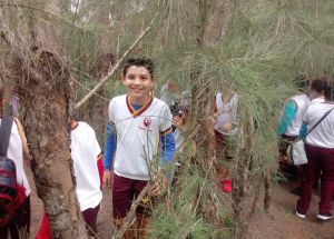 AULA DE CAMPO PARA O SANTUÁRIO PIPA (4º anos )