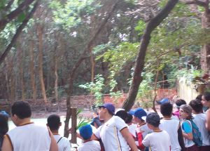 AULA DE CAMPO PARA O SANTUÁRIO PIPA (4º anos )