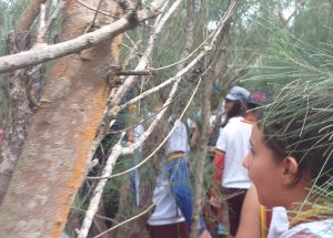 AULA DE CAMPO PARA O SANTUÁRIO PIPA (4º anos )