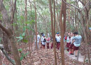AULA DE CAMPO PARA O SANTUÁRIO PIPA (4º anos )